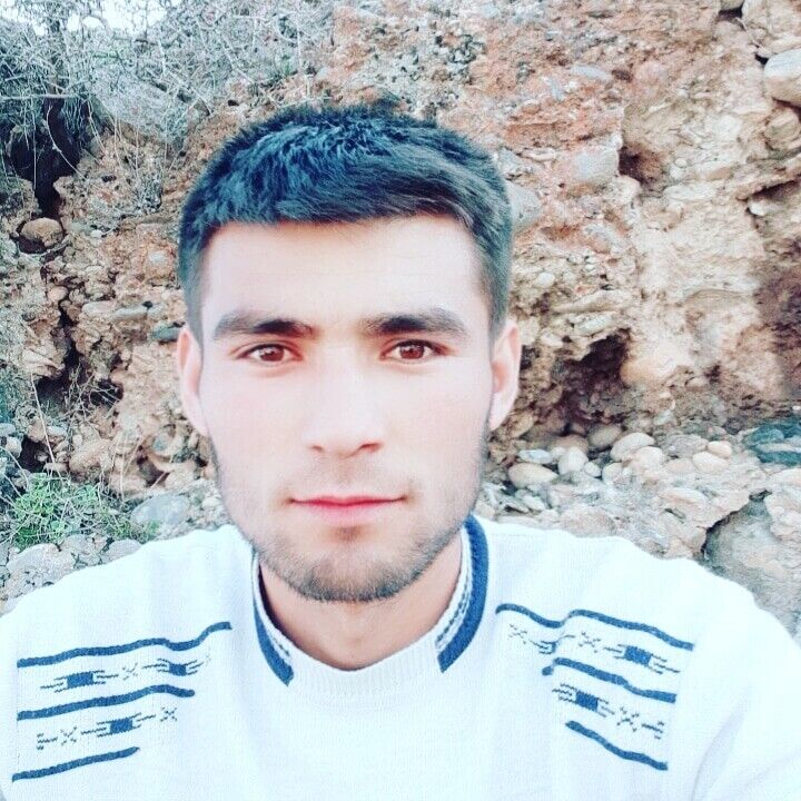 ���� 43805012 ������� �������, 29 ���, ���� ���������� � ������ ���������