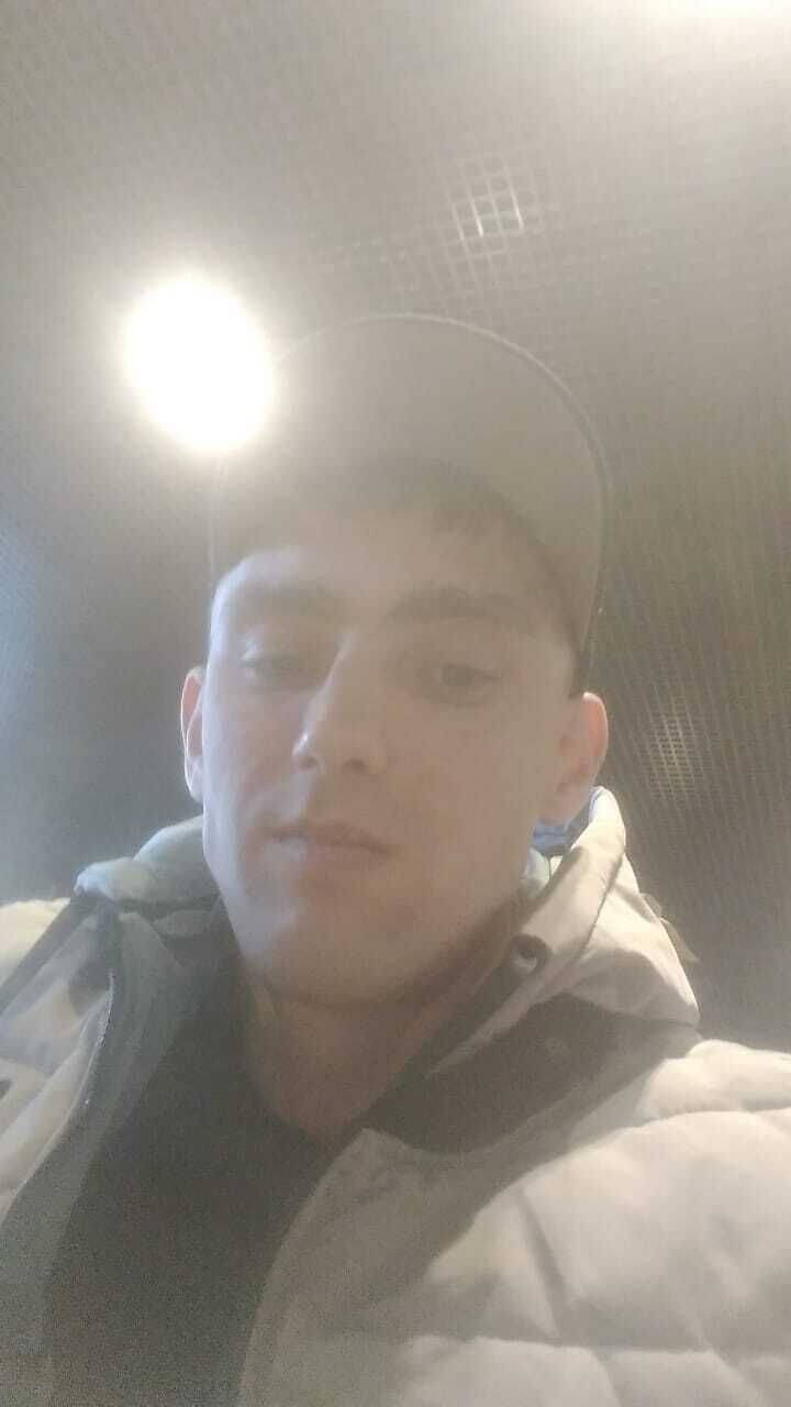  46264482  , 33 ,    