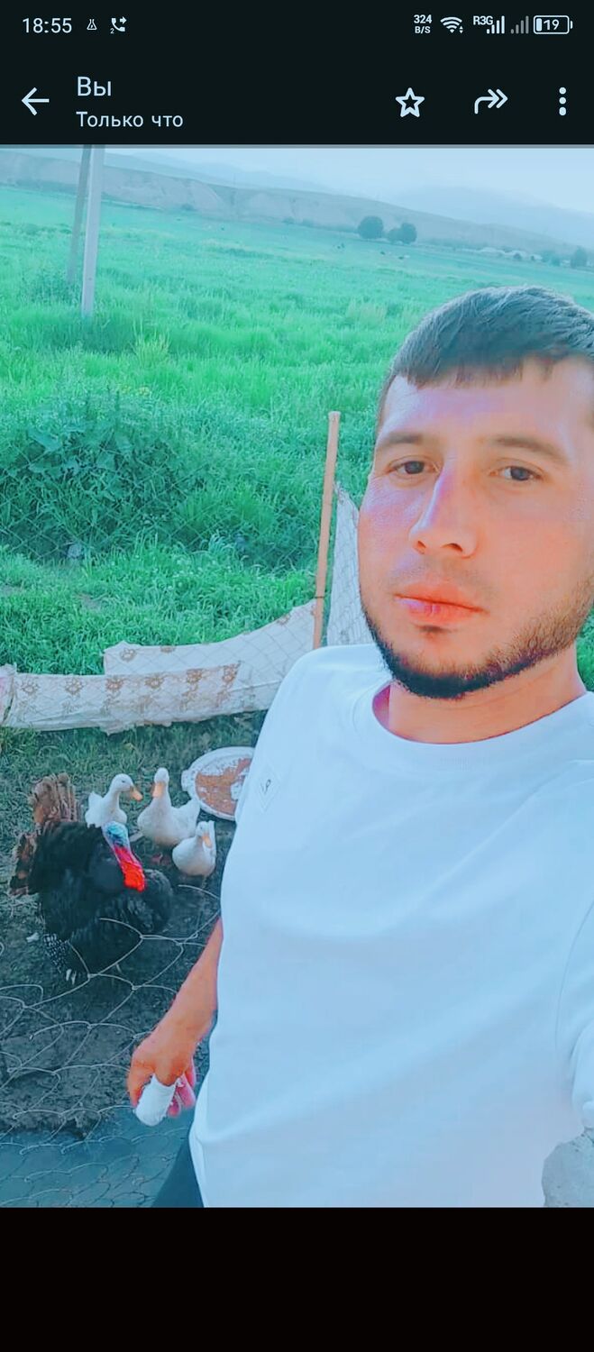  44765942  , 29 ,    