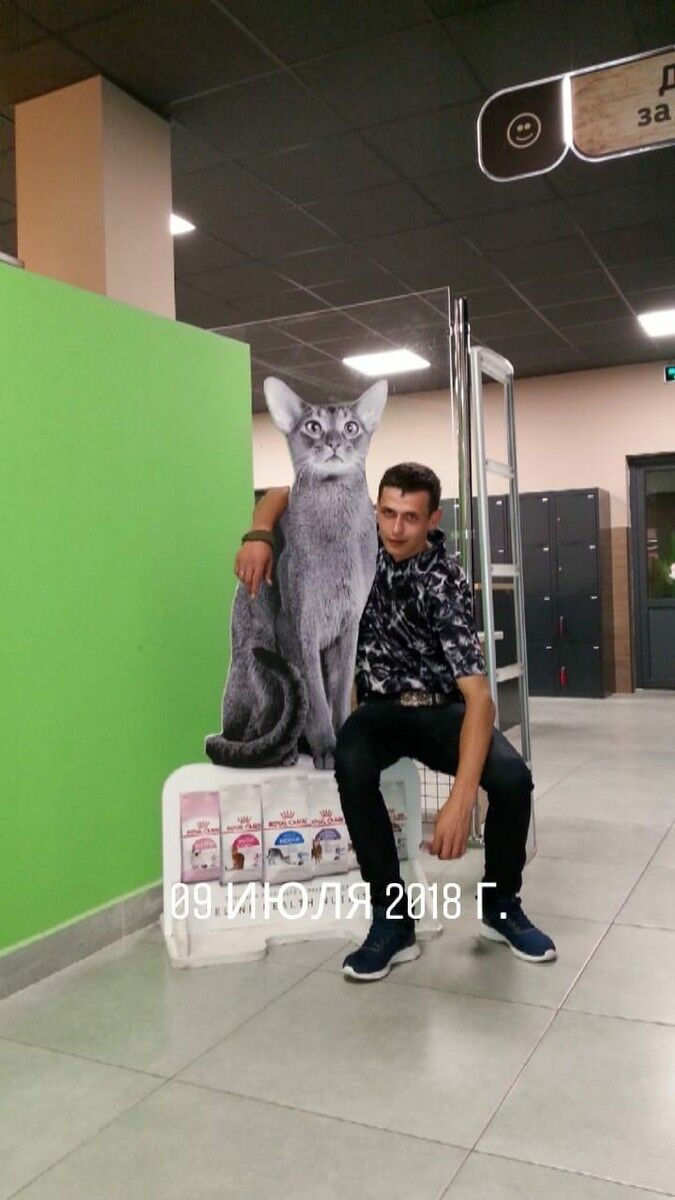  ,   , 31 ,   