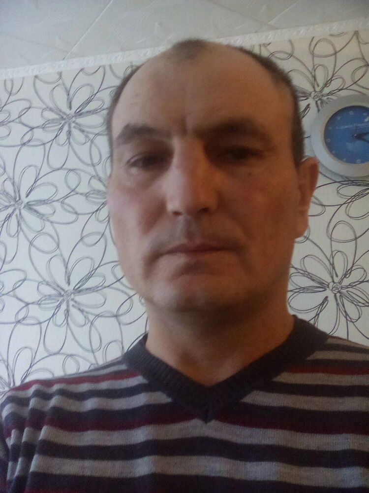  8282802  , 50 ,    
