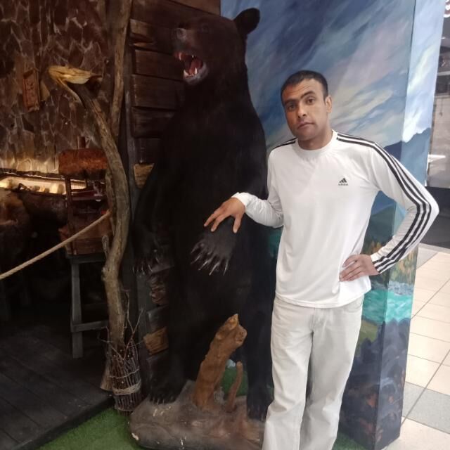 ���� 22934952 ������� ������, 38 ���, ���� ���������� � �����������