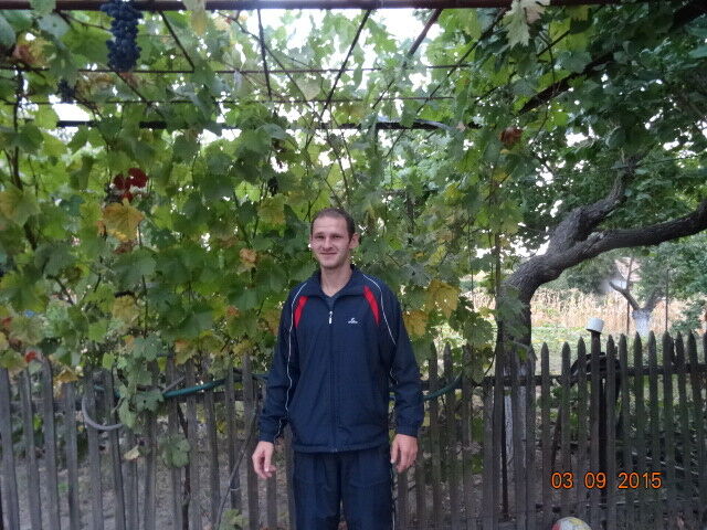 ���� 6684402 ������� ������, 36 ���, ���� ���������� � ������ ����