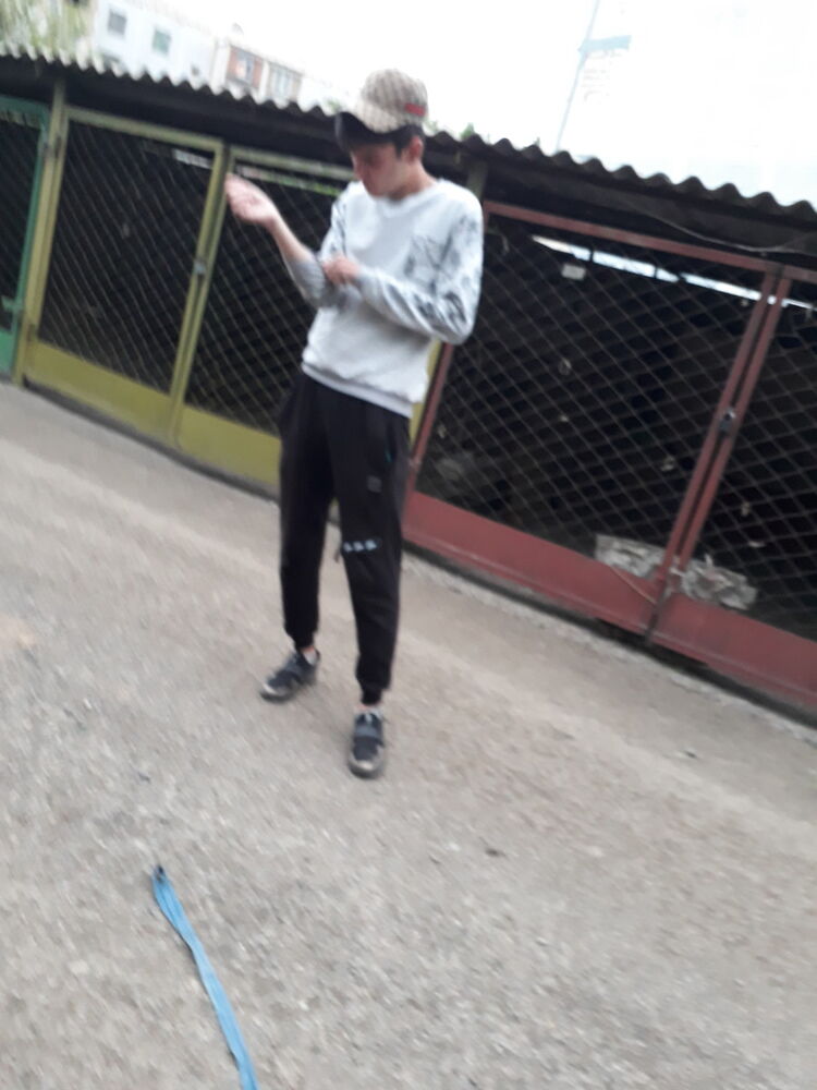 ���� 12001442 ������� ����, 28 ���, ���� ���������� � ��������