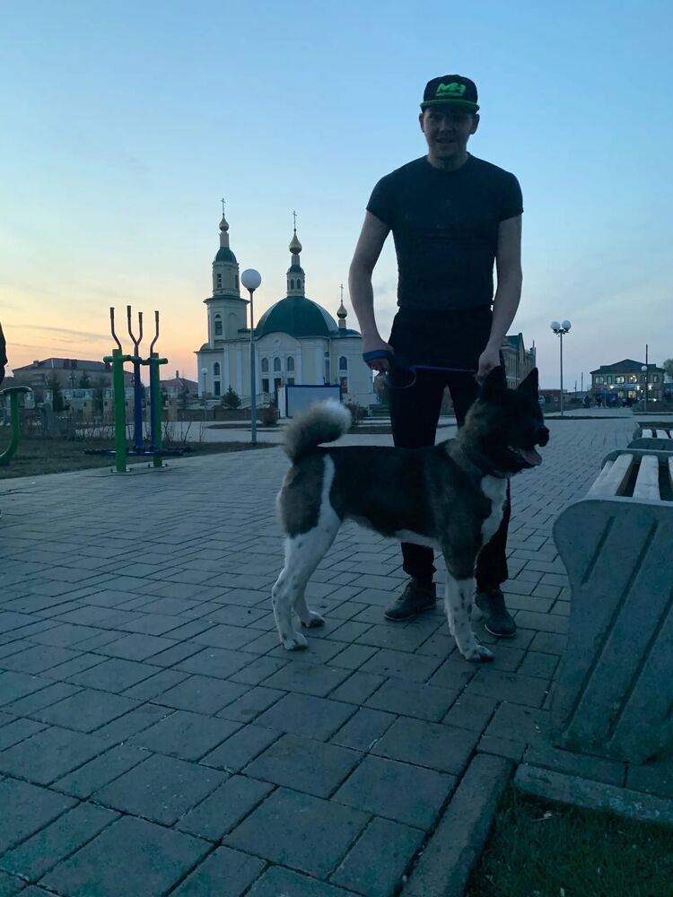 ���������� ������, ���� ����� ���������, 23 ����, ������������ ��� ������, ����� � ���������, c�������� ���������, ���������