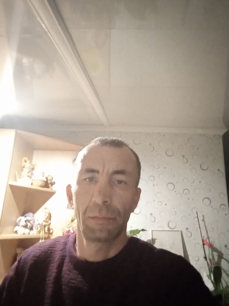 ���� 31956402 ������� �������, 44 ����, ���� ���������� � �������