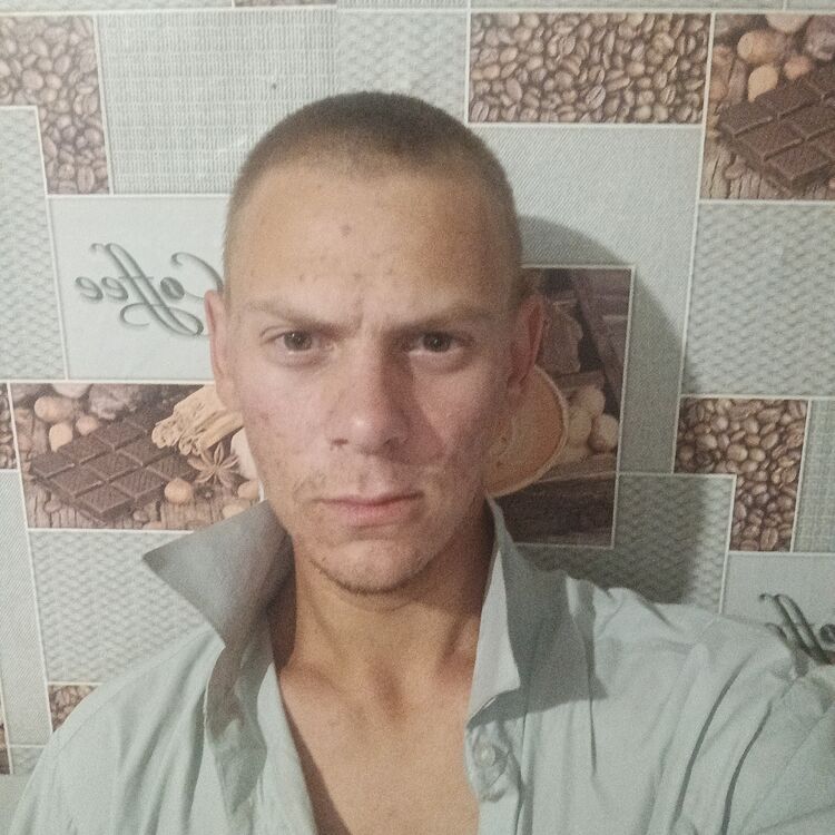 44417582  , 22 ,    