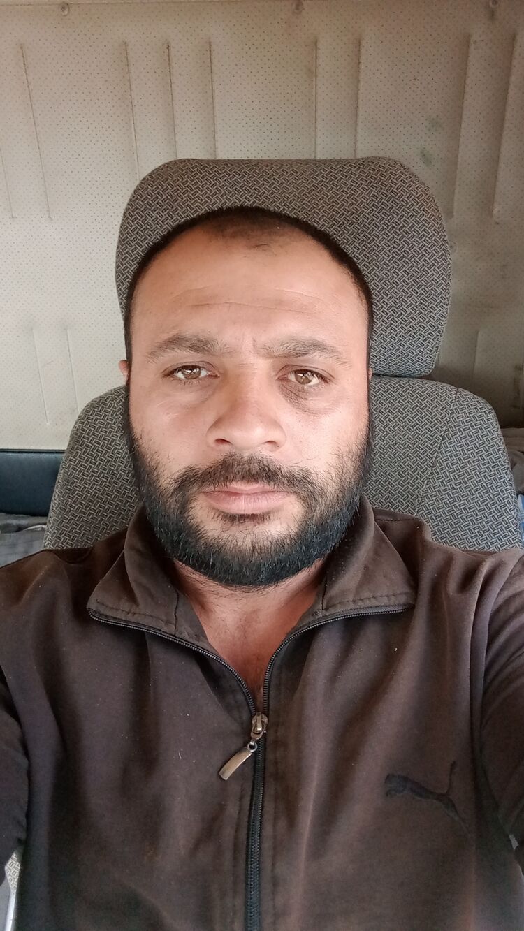  51385982  , 31 ,    