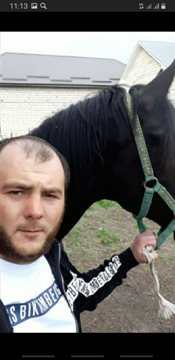  ,   Eldar, 36 ,   ,   