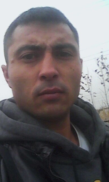 ���� 9092222 ������� �������, 36 ���, ���� ���������� � ����������