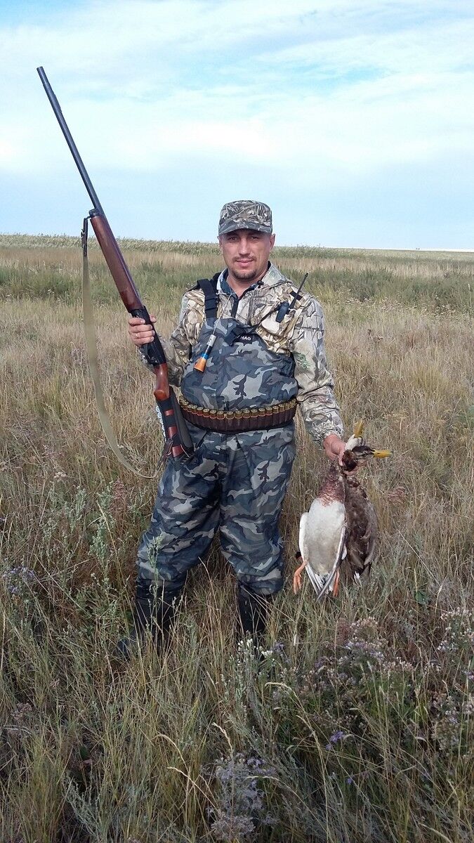 ���������� ������, ���� ������� ������, 44 ����, ������������ ��� ������, ����� � ���������, c�������� ���������