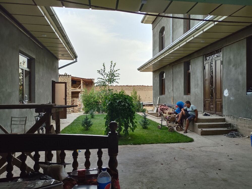 ���� 31115352 ������� �� ����, 33 ����, ���� ���������� � ��������