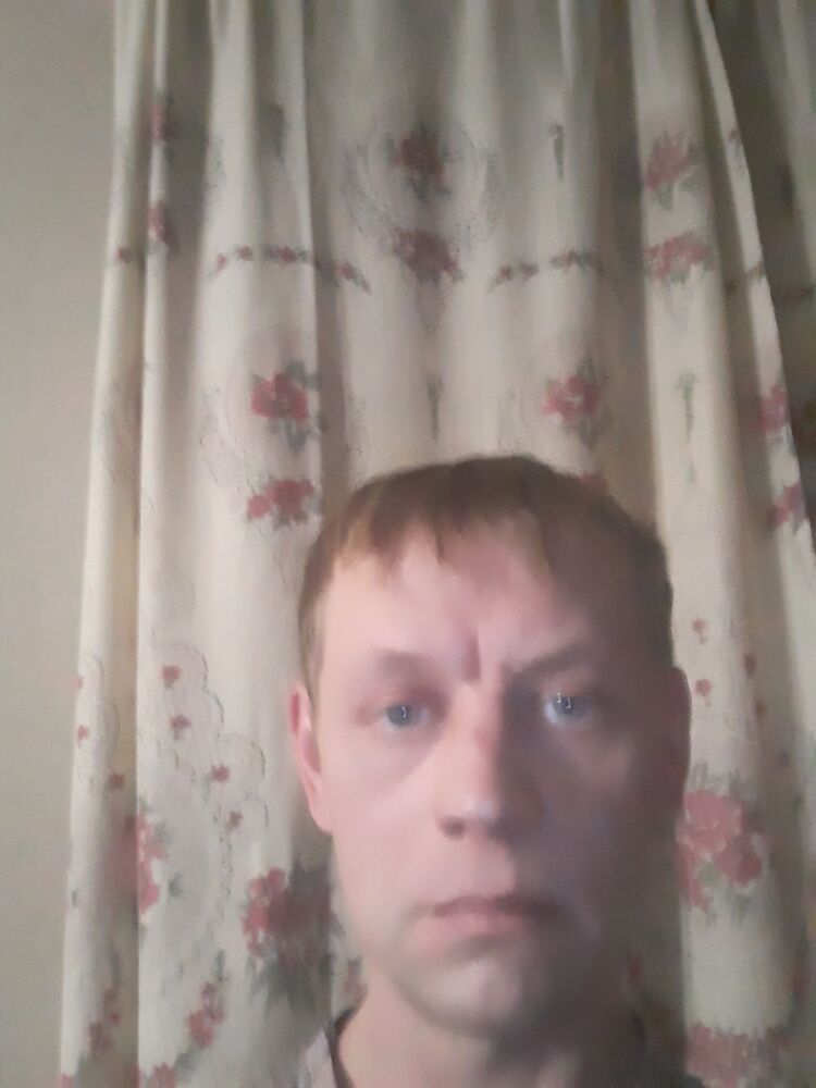  31555862  , 43 ,     