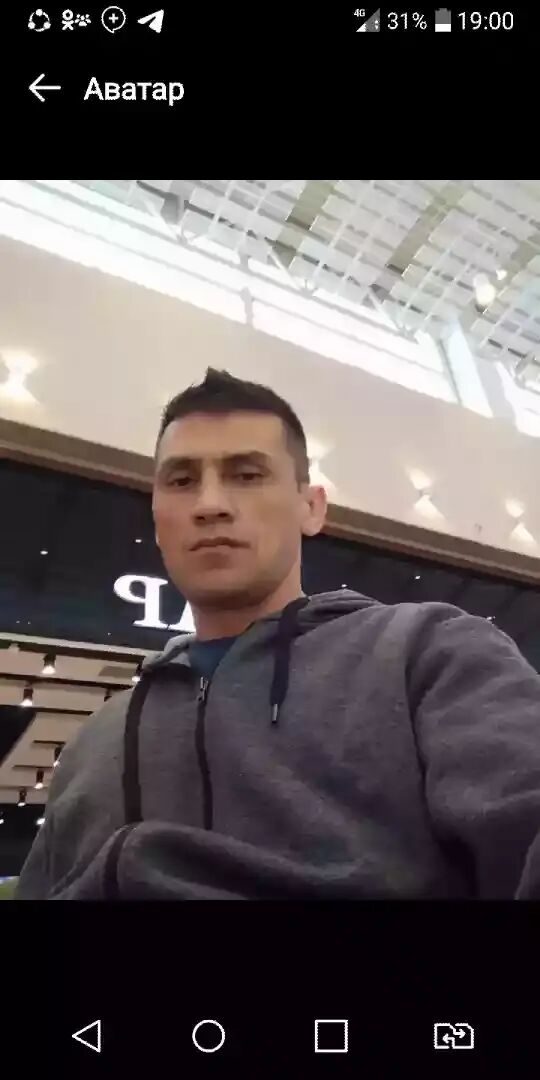  37633182  , 44 ,    