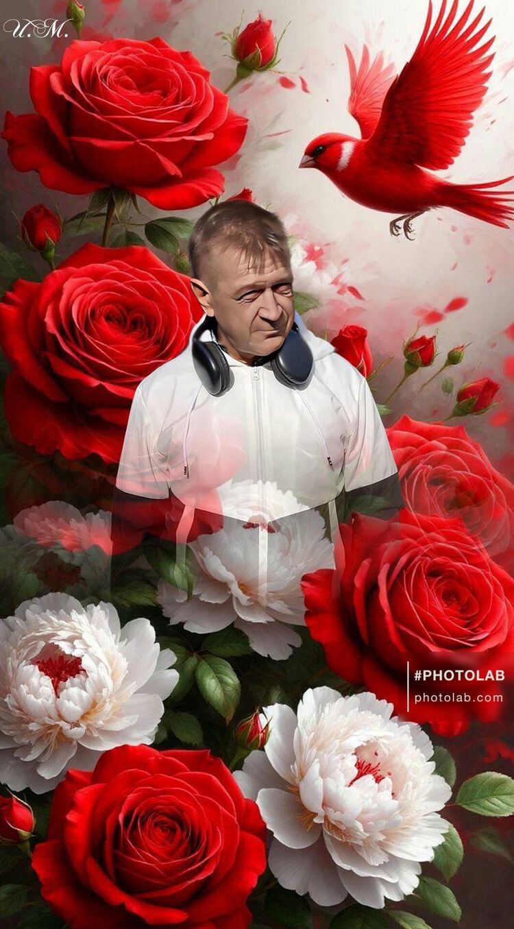  ,   , 52 ,   ,   