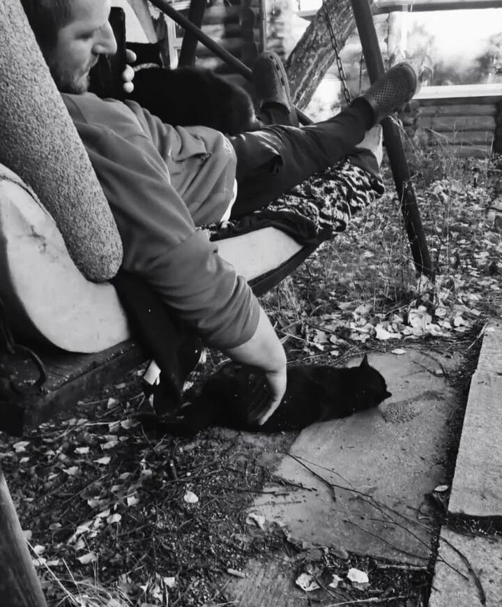 ���� 42566372 ������� ���������, 40 ���, ���� ���������� � ������