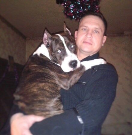  9195952  , 44 ,    --