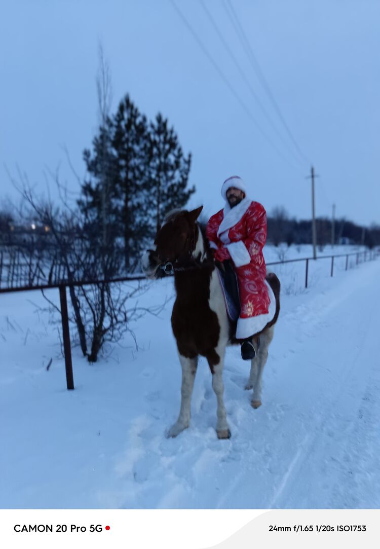 ���� 55988732 ������� �����, 46 ���, ���� ���������� � ��������