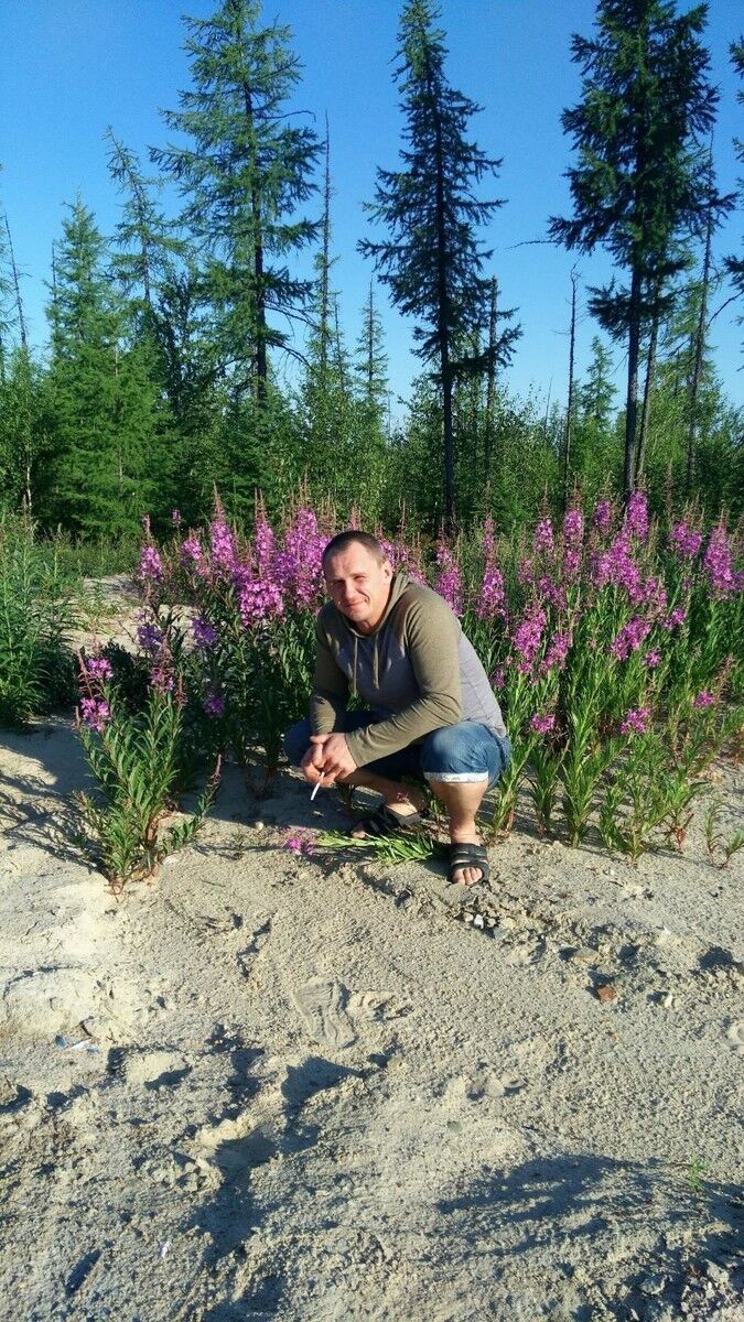 ���������� ��������, ���� ������� �������, 44 ����, ������������ ��� ������