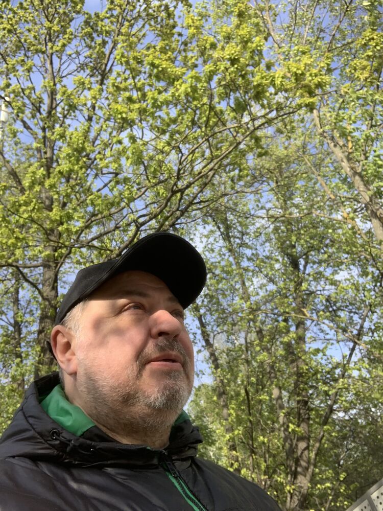 ���� 43066142 ������� ���������, 56 ���, ���� ���������� � ������