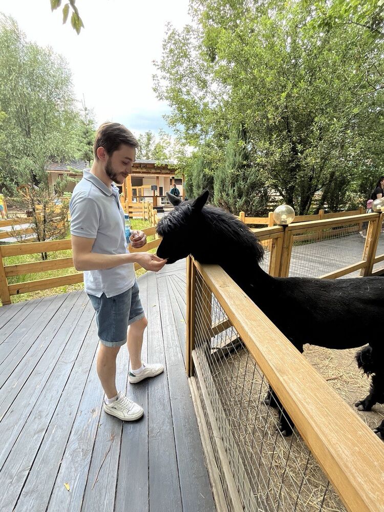  ,   , 29 ,   ,   , c , 