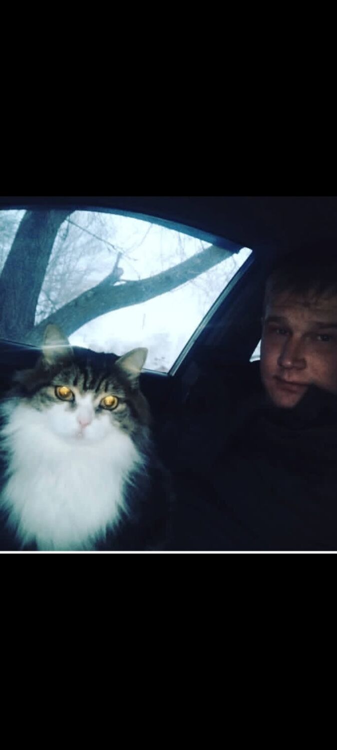 ���������� �������, ���� ������� ���������, 34 ����, ������������ ��� ����� � ���������, c�������� ���������, ���������