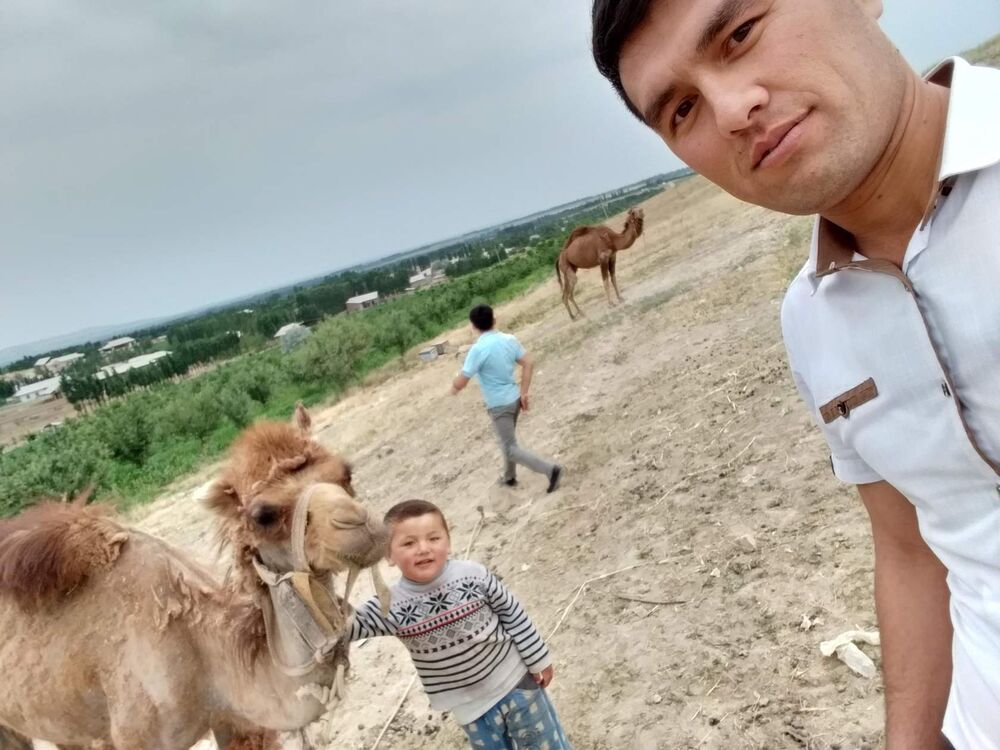 ���� 24319762 ������� ����, 31 ���, ���� ���������� � ������������