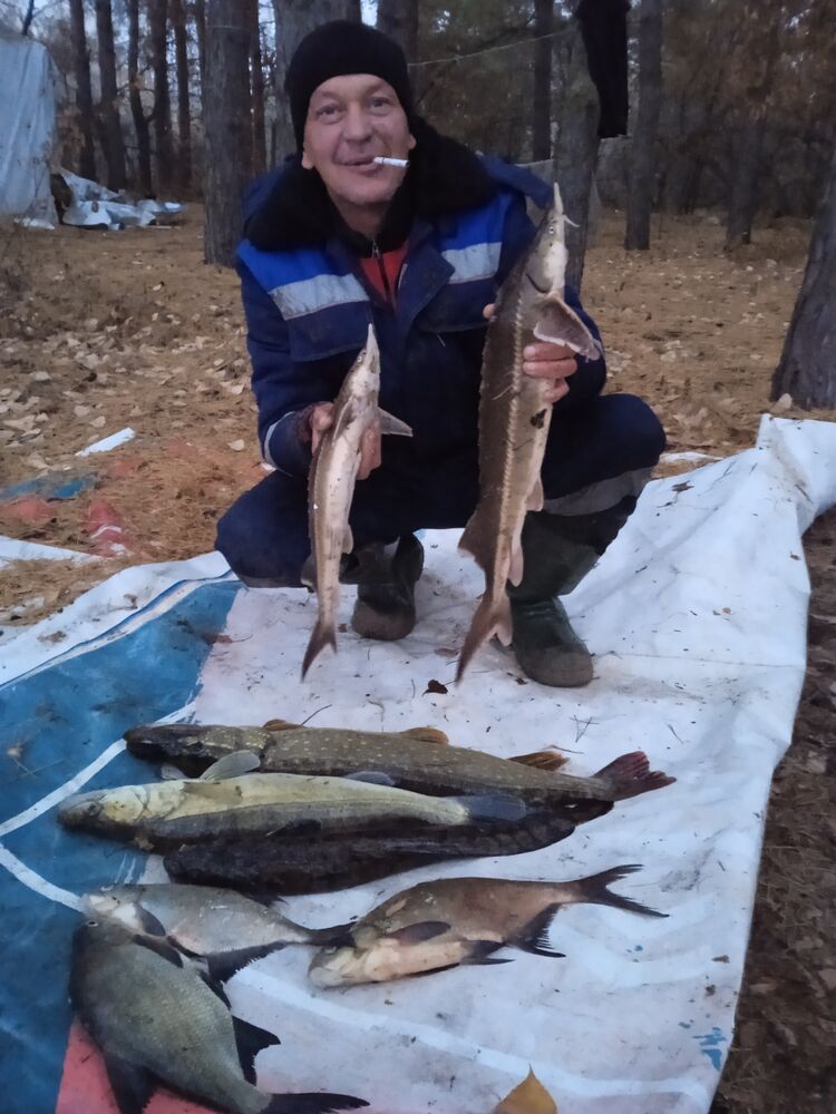 ���������� ��������, ���� ������� ������, 47 ���, ������������ ��� ������, ����� � ���������