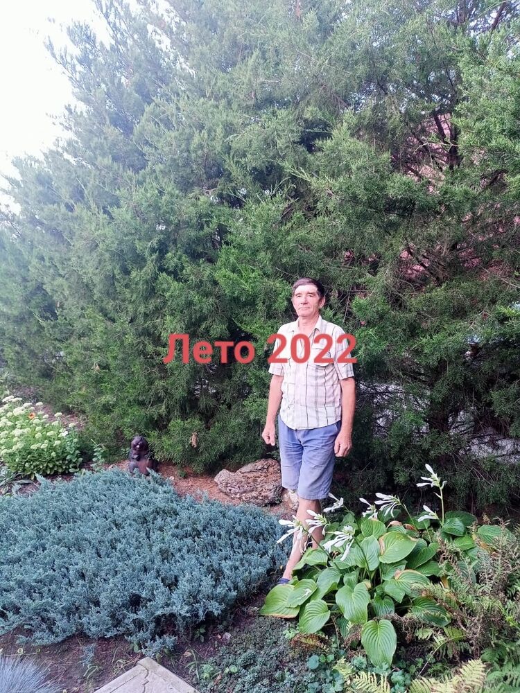  ,   , 65 ,   ,   