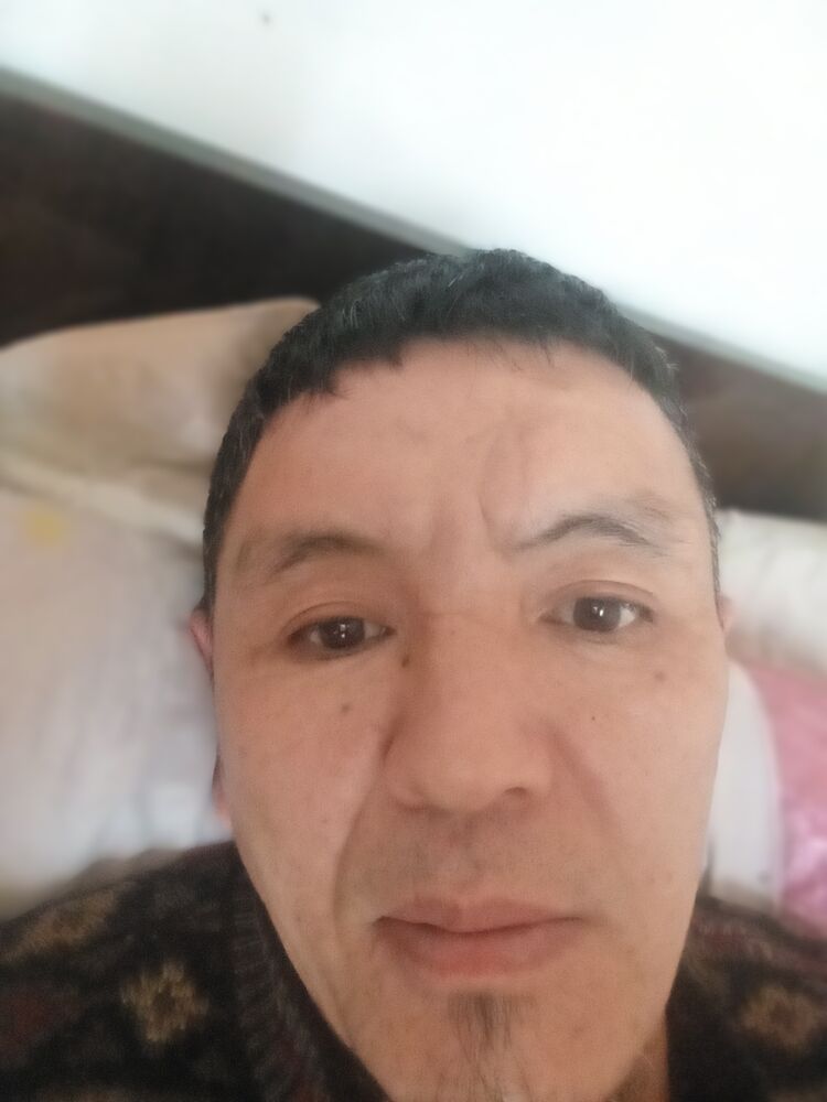  42427482  , 47 ,    