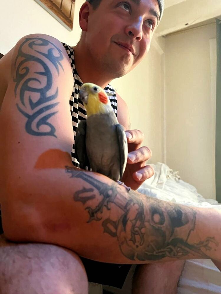  33319242  Igor, 32 ,     