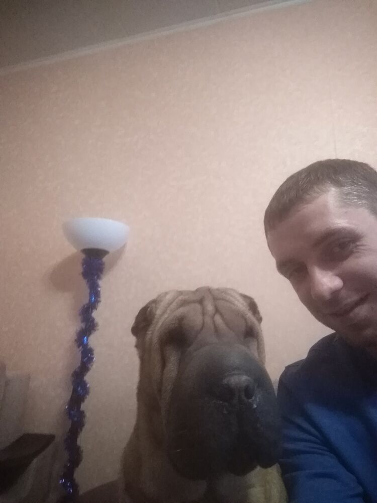 ���������� ���������, ���� ������� �������, 33 ����, ������������ ��� ������, ����� � ���������, c�������� ���������