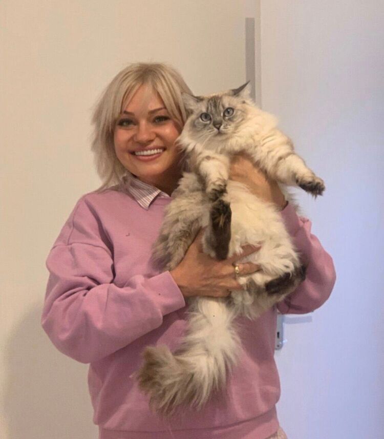 ���� 40888542 ������� ����������, 51 ���, ���� ���������� � ��������