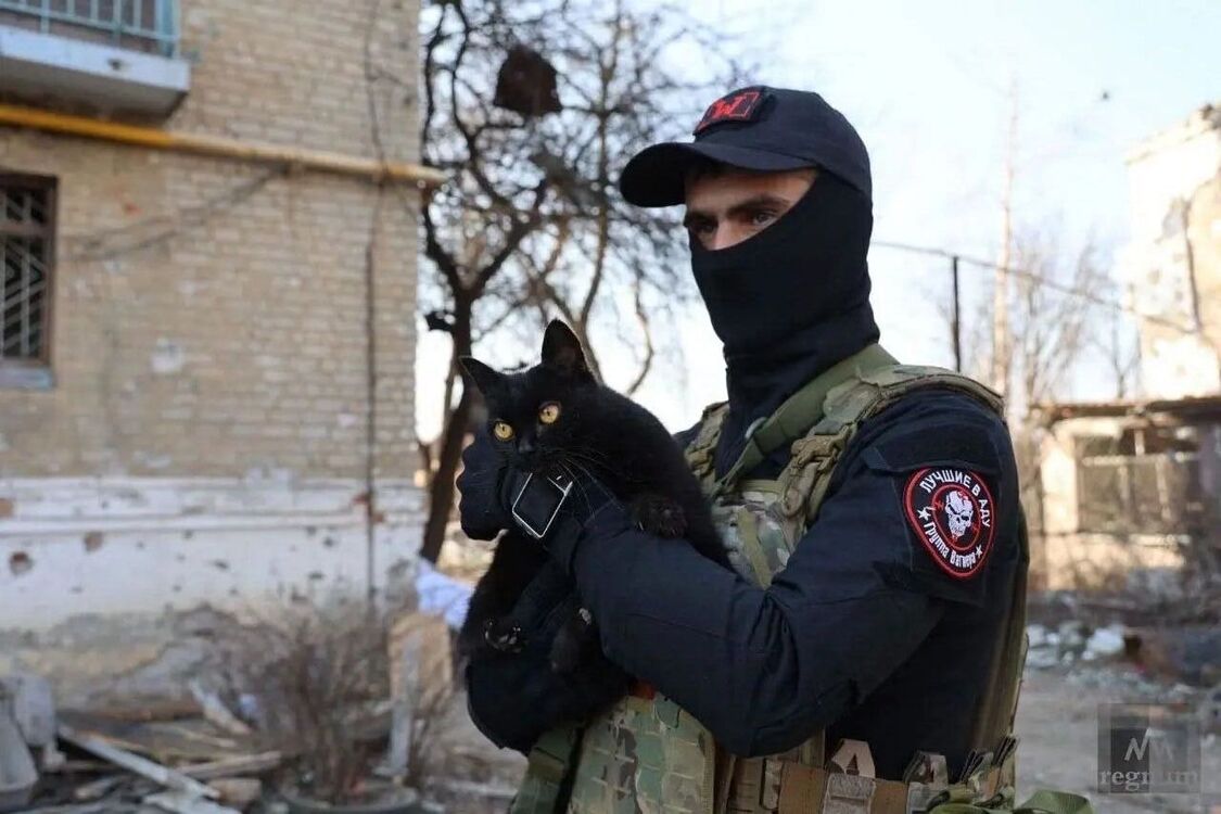 ���� 33502642 ������� ������, 27 ���, ���� ���������� � ���������