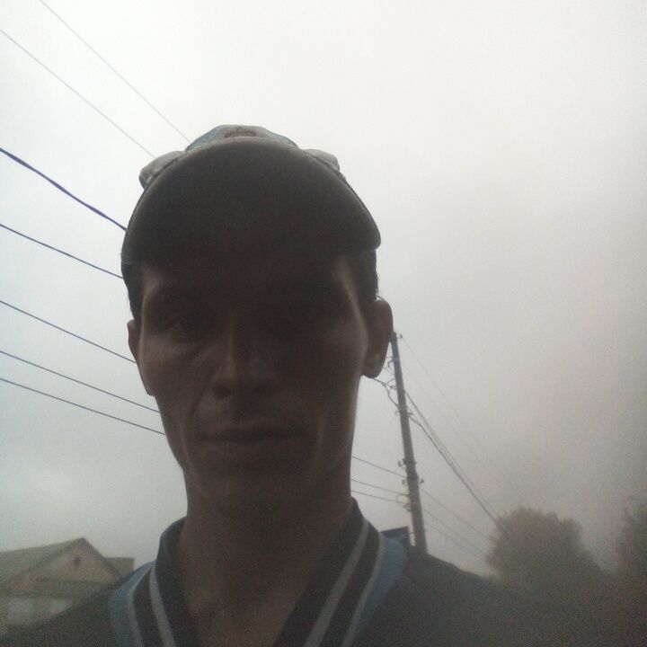  46727162  , 31 ,    