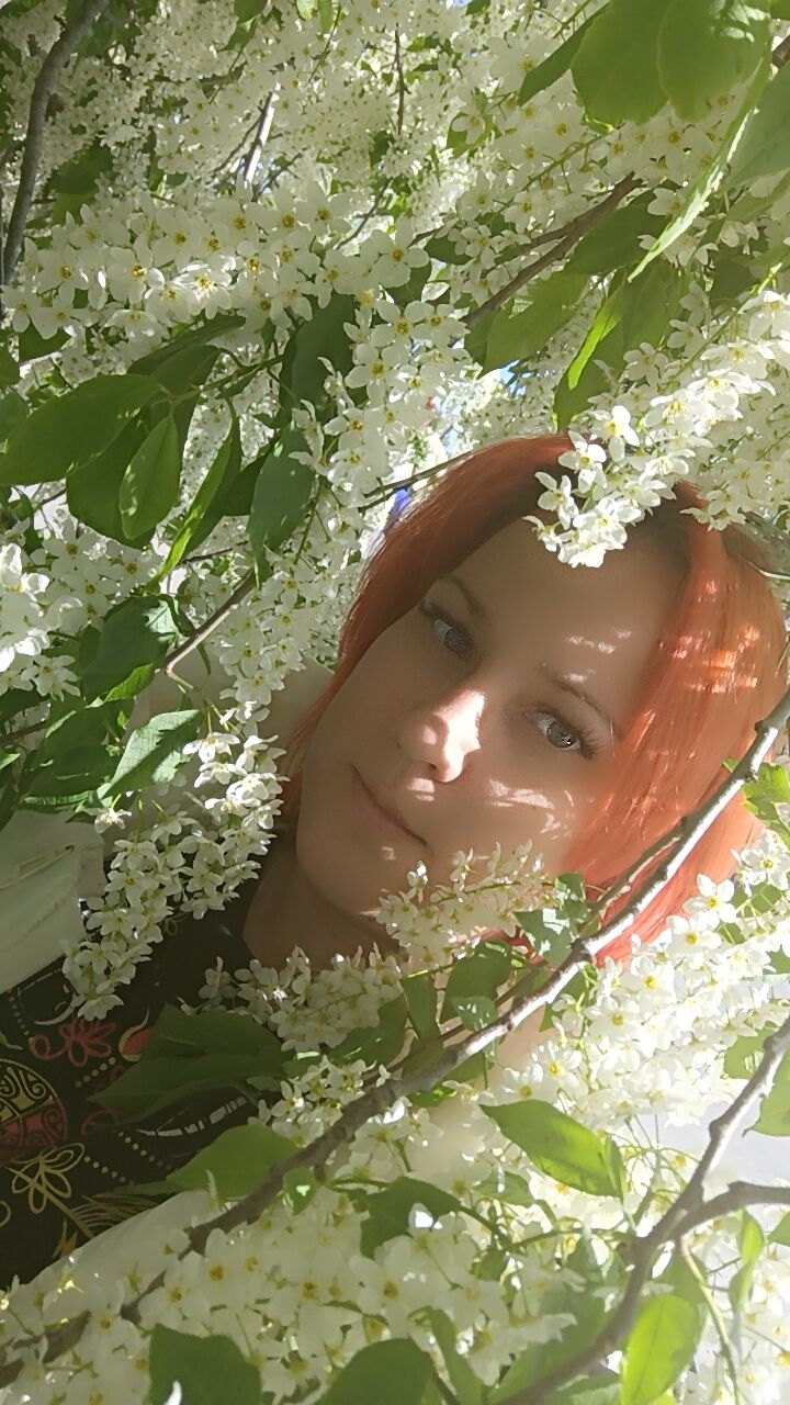  ,   , 37 ,     , c , 