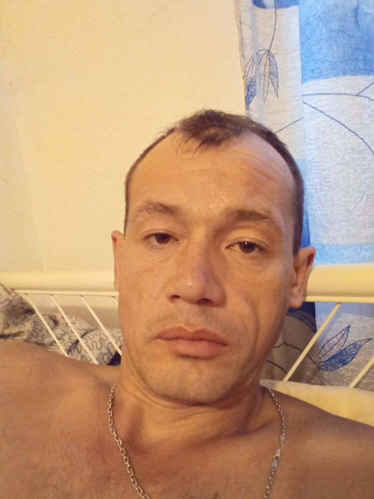  -,   Di, 65 ,   ,   