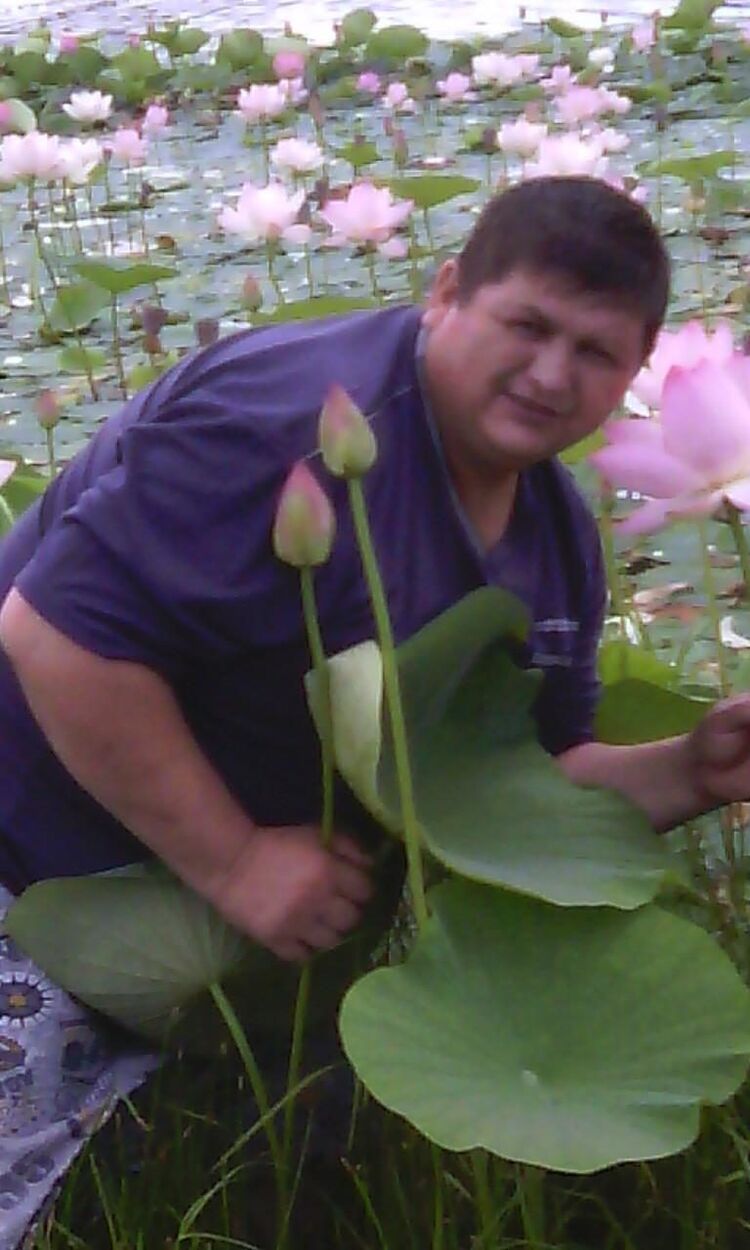  ,   , 56 ,   ,   , 