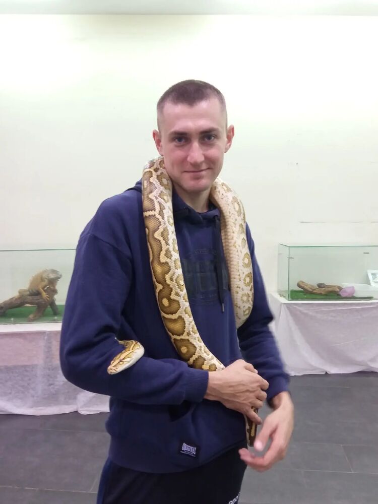 ���������� ����������, ���� ������� ���������, 31 ���, ������������ ��� ������, ����� � ���������, c�������� ���������, ���������