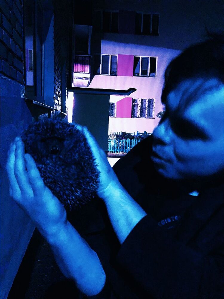  ,   , 24 ,  
