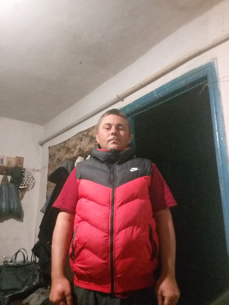  48318562  , 31 ,    