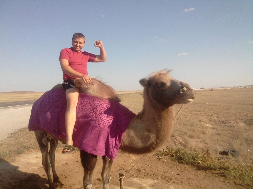 ���� 10196962 ������� ����, 46 ���, ���� ���������� � ������