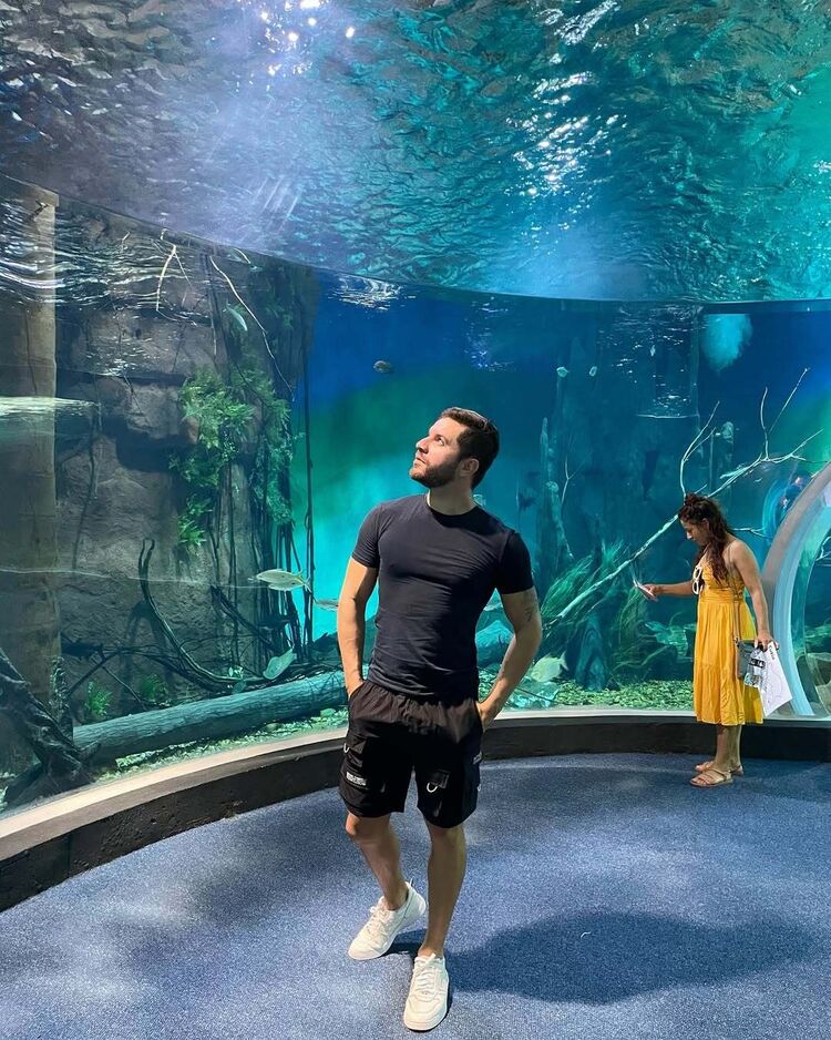 ���� 50186062 ������� ������, 42 ����, ���� ���������� � ������