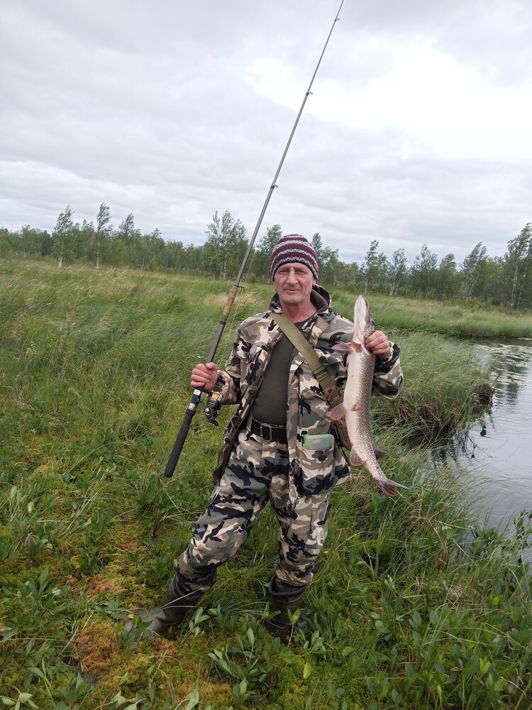  39842822  Vladimir, 56 ,    