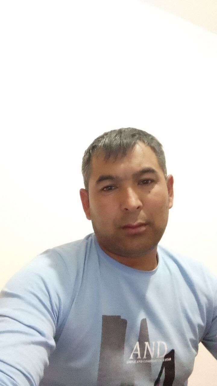  33756302  , 43 ,    