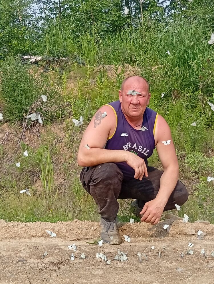  52296202  , 51 ,     