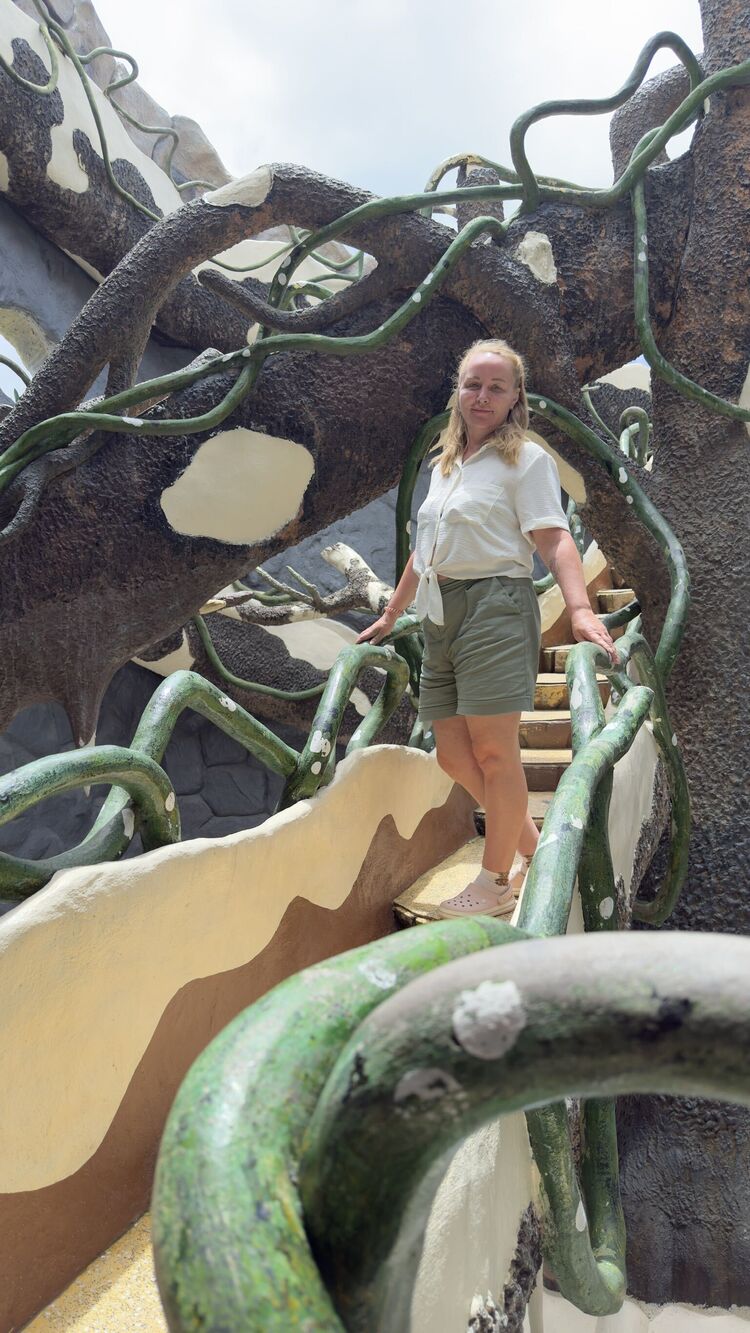  54677592  , 51 ,    -