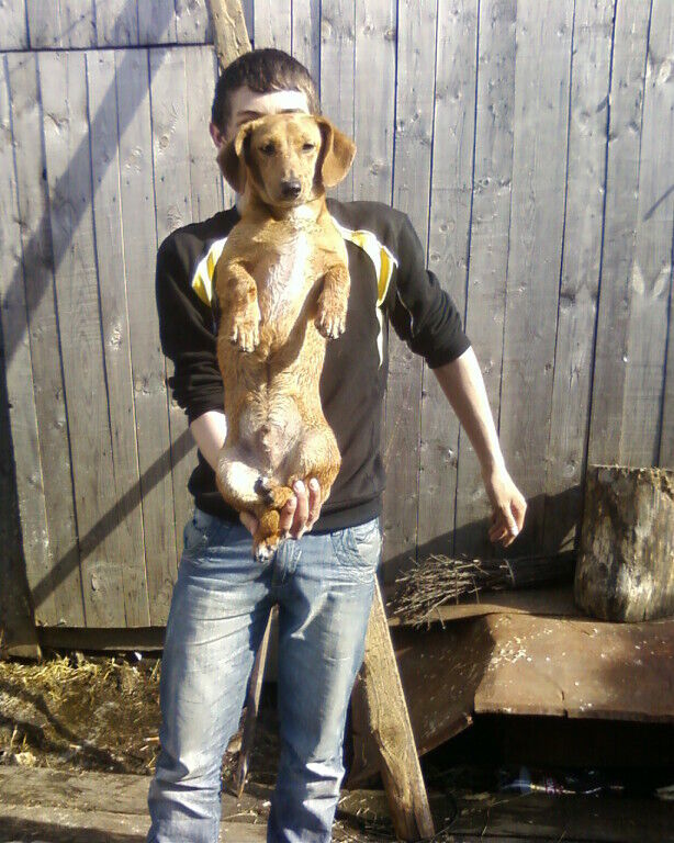 ���������� ����, ���� ������� �������, 53 ����, ������������ ��� ����� � ���������, c�������� ���������, ���������