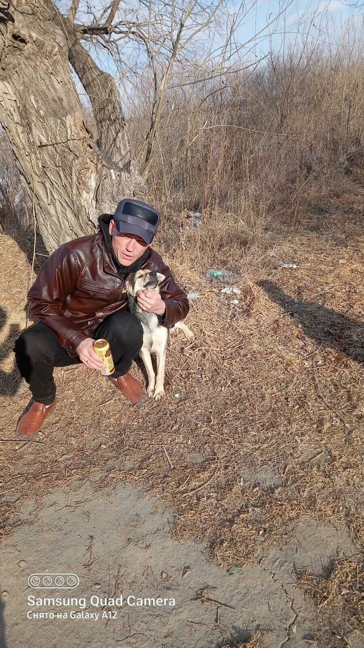 ���� 25653852 ������� ����, 38 ���, ���� ���������� � ���������