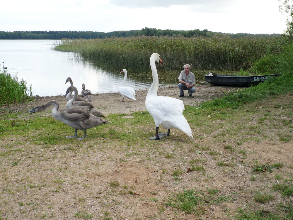  ,   Petr, 74 ,     , c 